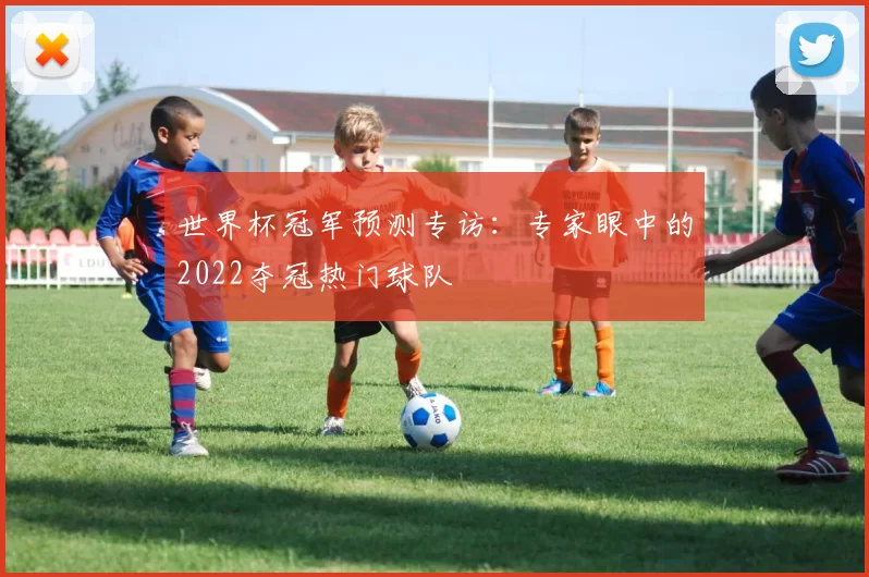 世界杯冠军预测专访:专家眼中的2022夺冠热门球队