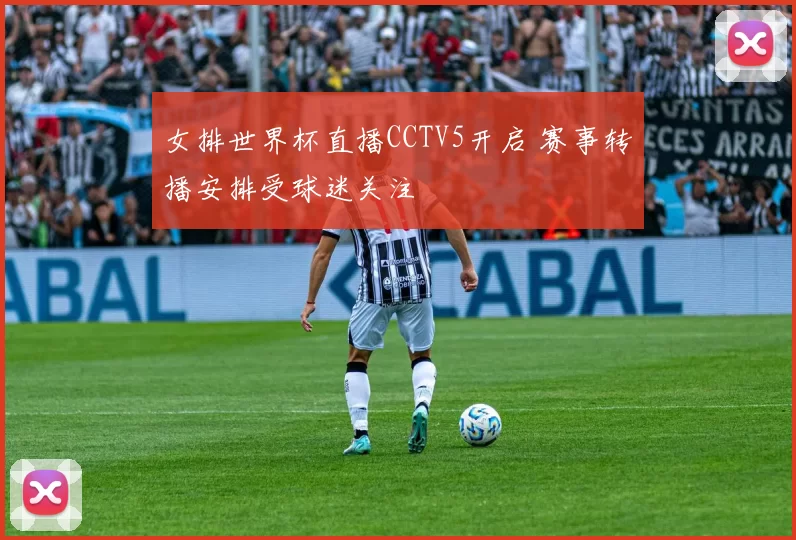 女排世界杯直播CCTV5开启 赛事转播安排受球迷关注