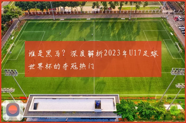 谁是黑马？深度解析2023年U17足球世界杯的夺冠热门