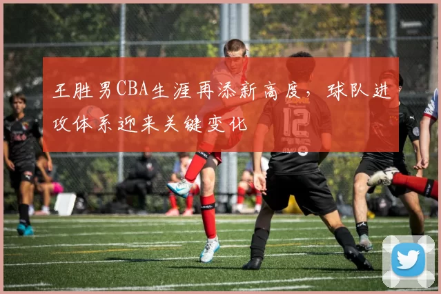 王胜男CBA生涯再添新高度，球队进攻体系迎来关键变化