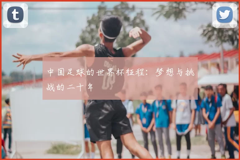 中国足球的世界杯征程：梦想与挑战的二十年