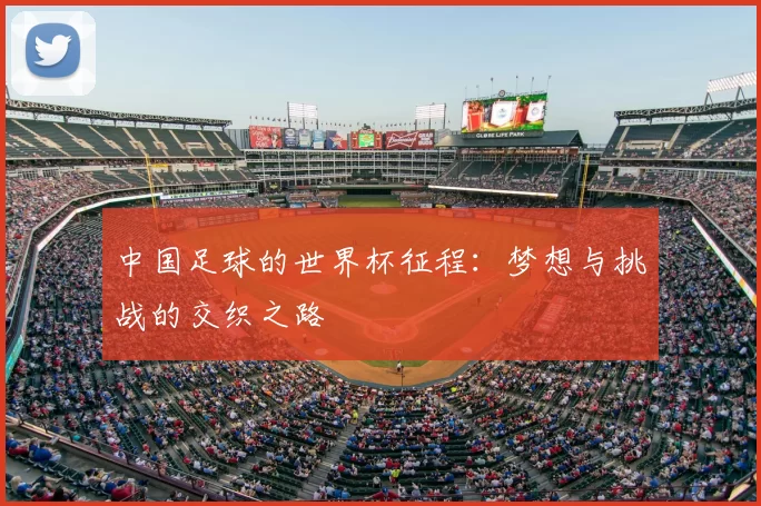 中国足球的世界杯征程：梦想与挑战的交织之路