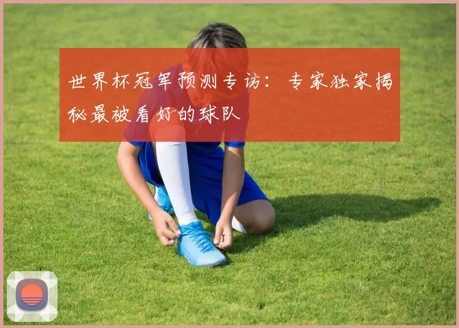 世界杯冠军预测专访：专家独家揭秘最被看好的球队