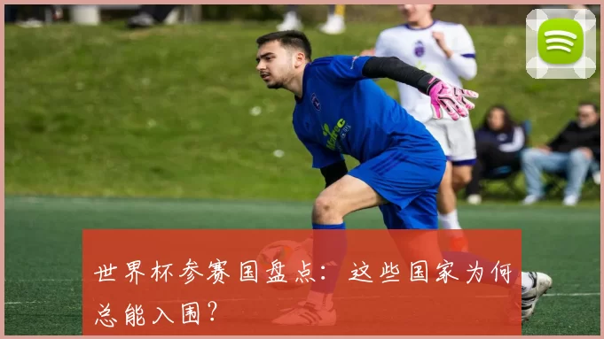世界杯参赛国盘点:这些国家为何总能入围?