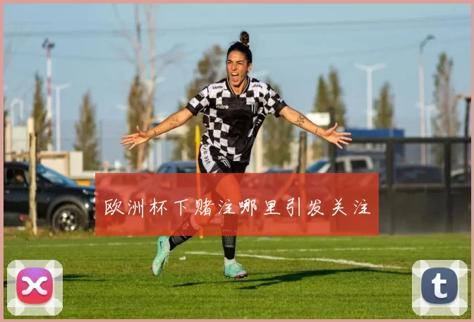 欧洲杯下赌注哪里引发关注