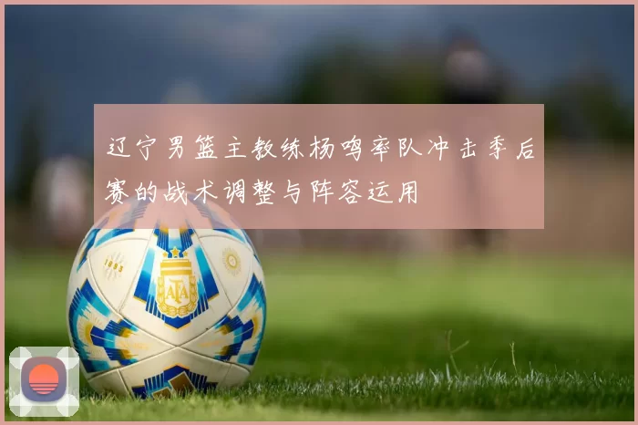 辽宁男篮主教练杨鸣率队冲击季后赛的战术调整与阵容运用